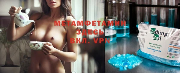 стаф Аркадак