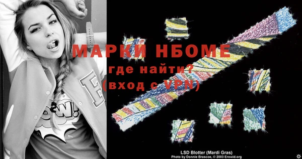 стаф Аркадак