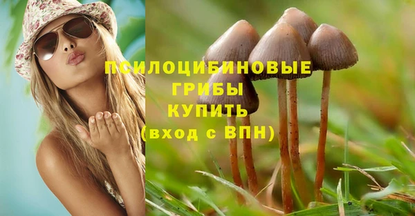 бутират Арсеньев