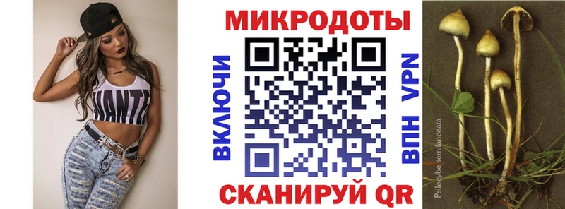 Псилоцибиновые грибы ЛСД купить Абаза