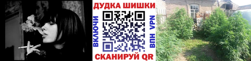 Шишки марихуана конопля  Абаза 